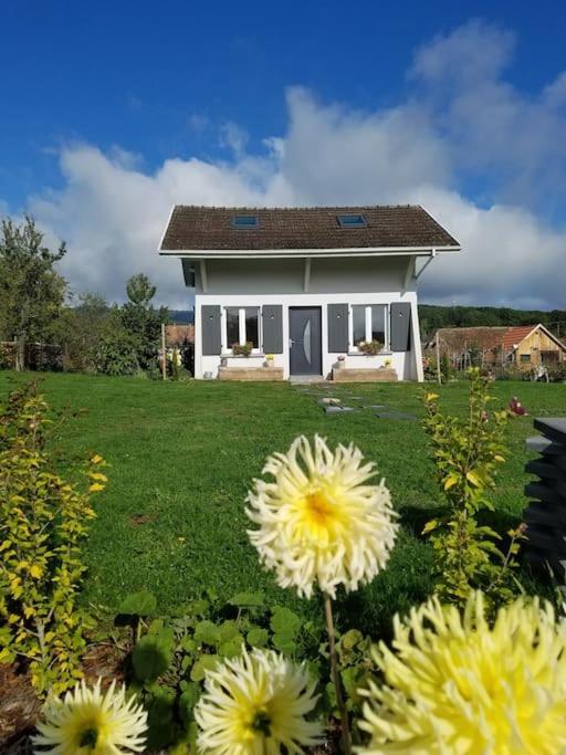 Gite Le Charmot, Au Pied Des Montagnes Classe 3* Roderen Εξωτερικό φωτογραφία