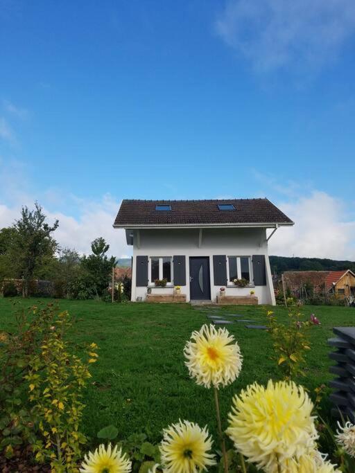 Gite Le Charmot, Au Pied Des Montagnes Classe 3* Roderen Εξωτερικό φωτογραφία