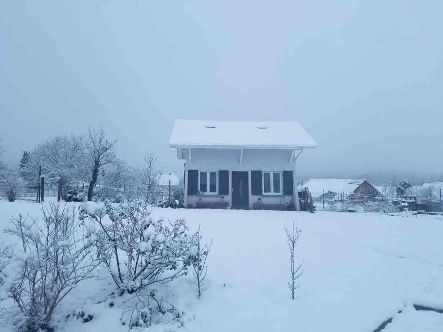 Gite Le Charmot, Au Pied Des Montagnes Classe 3* Roderen Εξωτερικό φωτογραφία