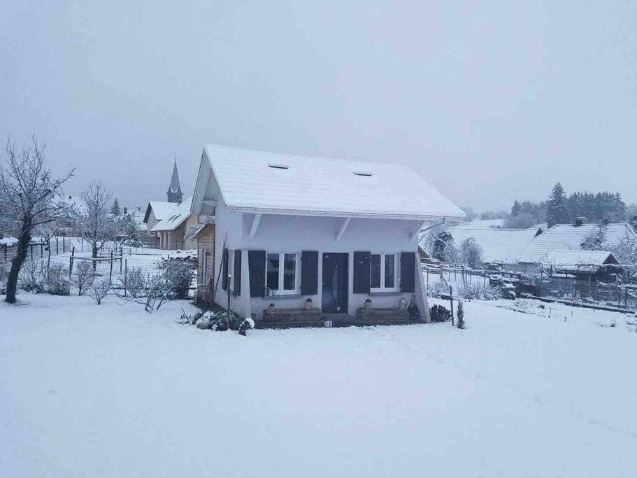 Gite Le Charmot, Au Pied Des Montagnes Classe 3* Roderen Εξωτερικό φωτογραφία